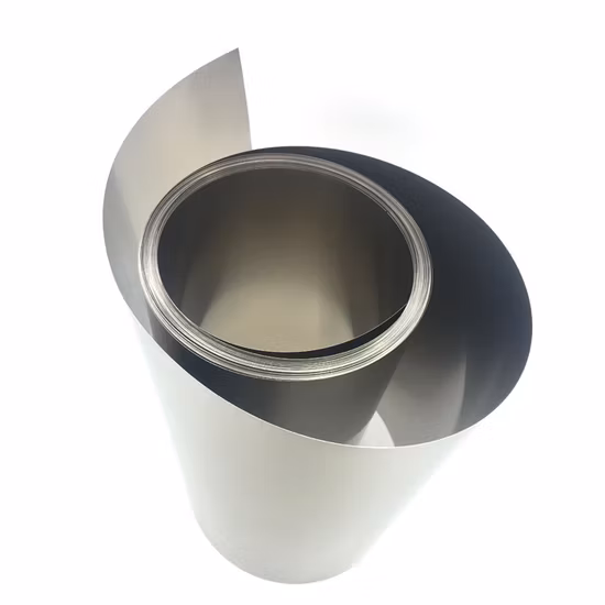 Precio barato Pure Ta1 R050200 Tira de tantalio